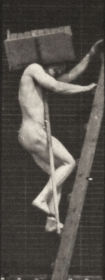 Plate 405 Carrying a hod of bricks up a ladder — figure reference